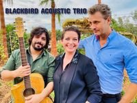 Blacbird Acoustic Trio farbig